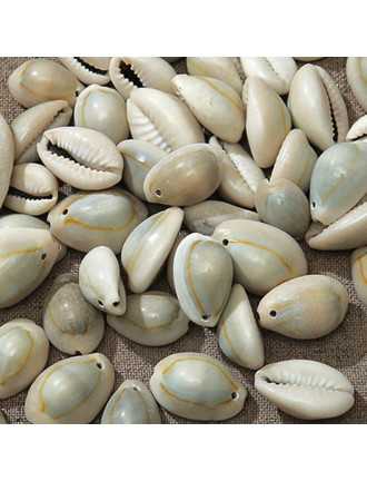 10 Perles Coquillages de Cauris Naturelle Porcalaine 18mm x 13mm - 14mm x 10mm